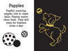Peter Pauper - Scratch and Sketch Activity Book Furry Friends