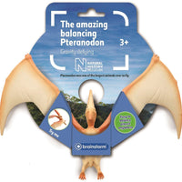 Brainstorm Toys - The Amazing Balancing Pteranodon