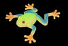 Funfings - Stretchy Beanie Red Eyed Frog