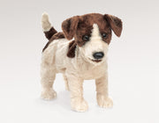Folkmanis - Jack Russell Smooth Coat Puppet