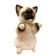 Hansa - Rag Doll Kitten Puppet