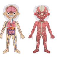 Tooky Toy - Magnetic Body Chart