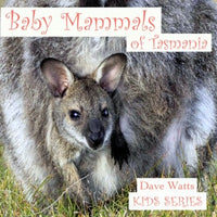 Dave Watts - Baby Mammals of Tasmania