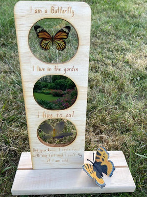 5 Little Bears - In The Garden Ecosystem Butterfly with FREE Timber Stand