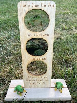5 Little Bears - In The Garden Ecosystem Green Tree Frog with FREE Timber Stand