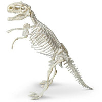 Heebie Jeebies - Palaeontology Kit Tyrannosaurus