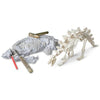 Heebie Jeebies - Palaeontology Kit Stegosaurus