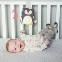 Taf Toys - Prince Penguin Baby Soother