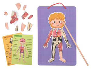 Tooky Toy - Magnetic Body Chart