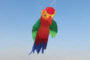 Harlequin Toys - Windsock Rainbow Lorikeet