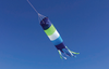 Harlequin Toys - Windsock Long Blue/green